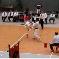 Chris mit Mawashi Geri