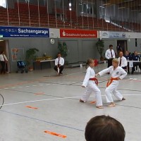 Franz bei Kihon Ippon Kumite