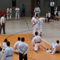 ... und mit Mawashi Geri in Action